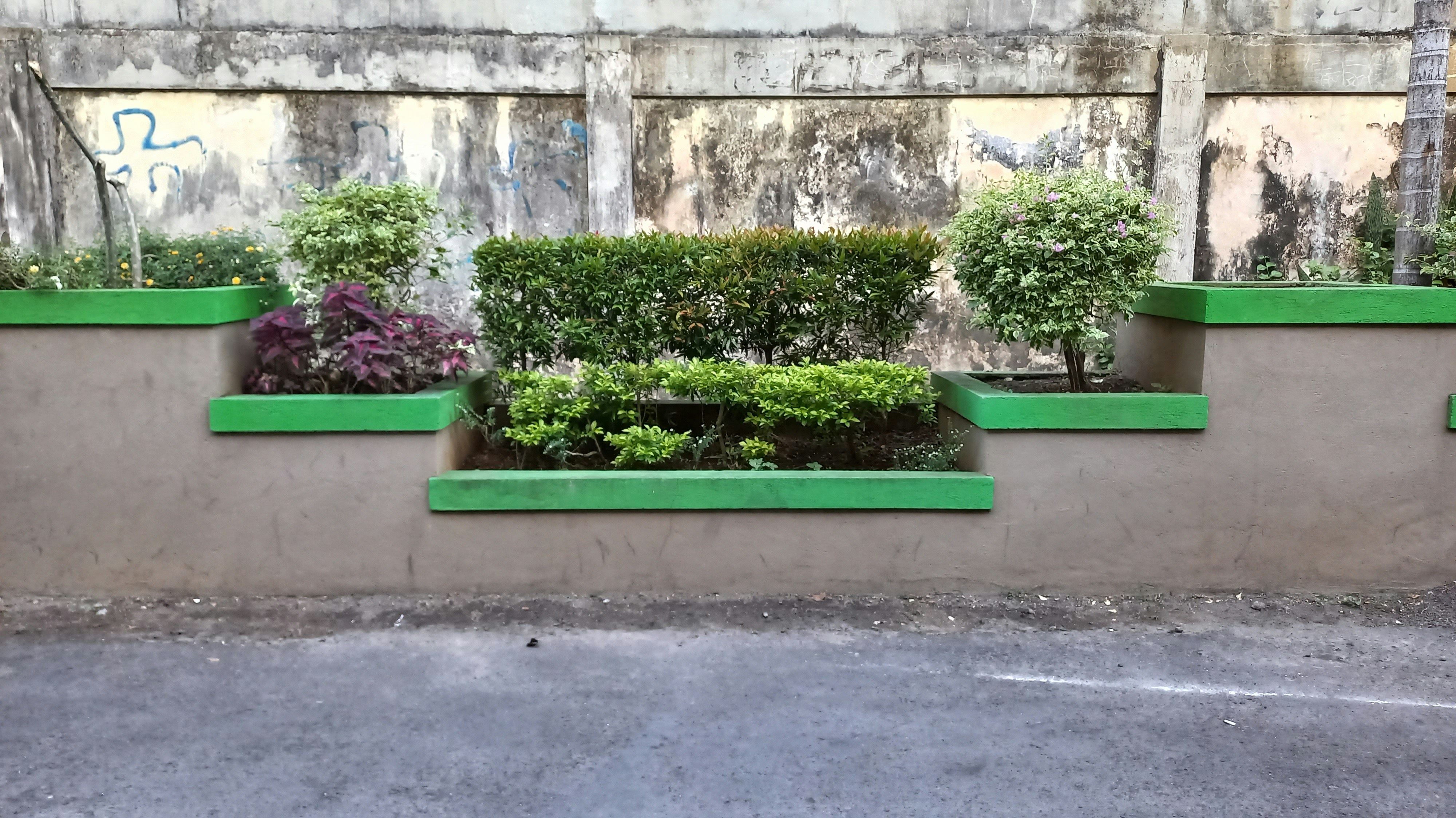 Espaces Verts et Espaces Publics